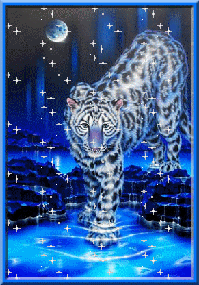 tigre sur fond bleu